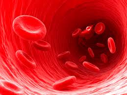 Blood clots pic